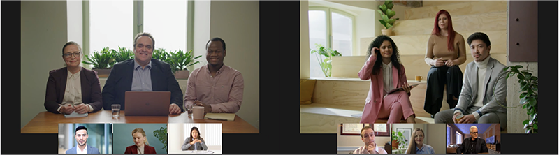 Multiscreen participant display